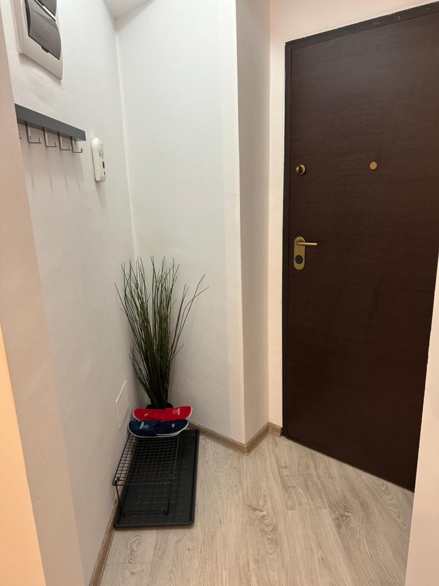 Central Studio Bucur Bukurešť Exteriér fotografie